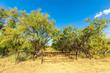 tbd cr 481, anson,  TX 79501