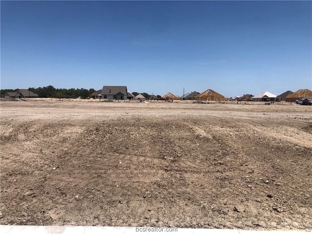 2801 spector dr, bryan,  TX 77808