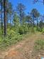  clanton,  AL 35045