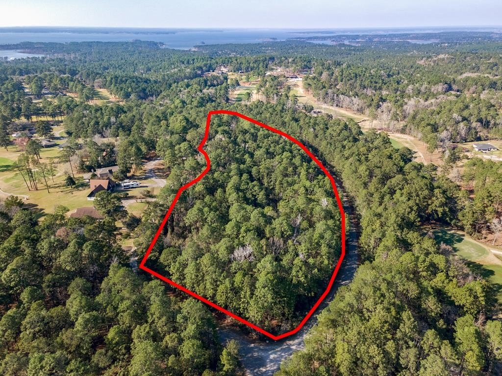 387 masters blvd, brookeland,  TX 75931
