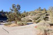  frazier park,  CA 93225