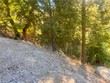  cedar glen,  CA 92321