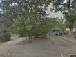  deland,  FL 32724