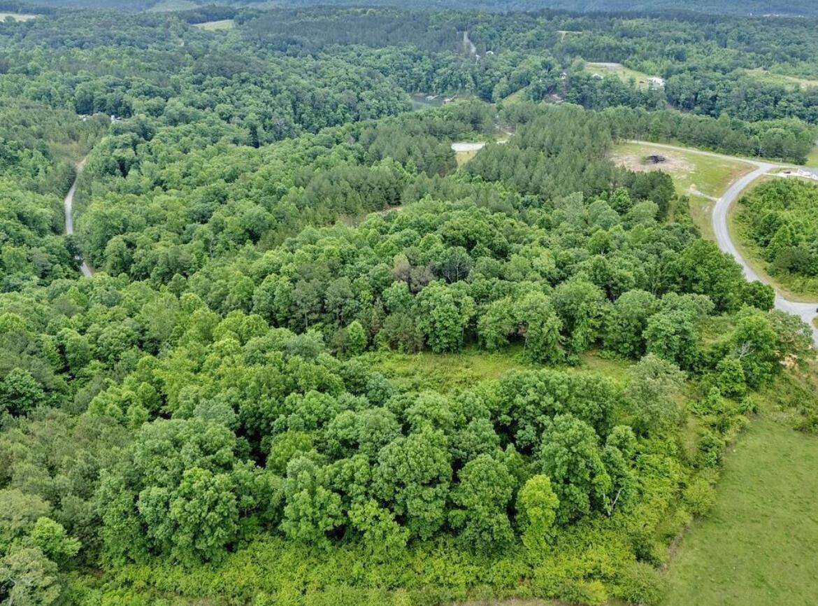 lot 36 grandview shores, crane hill,  AL 35053