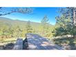 1147 osage trl, red feather lakes,  CO 80545