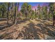231 granite dr, drake,  CO 80515