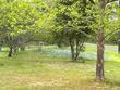 tbd ward bend road, sealy,  TX 77474