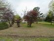 446 oak leaf trl, point,  TX 75472