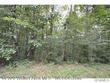 county road 375, crane hill,  AL 35053