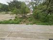 4014 walnut clay dr, austin,  TX 78731