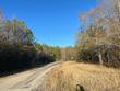 2945 fm 2246 rd, buna,  TX 77612