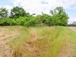 000 36 acres rice road, taylor,  AL 36301
