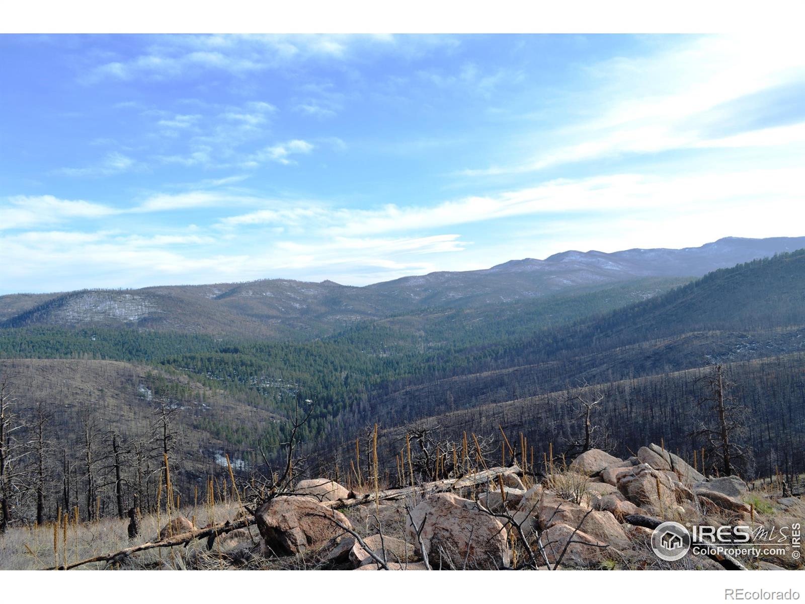 3600 moondance way, loveland,  CO 80538