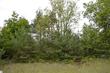  mancelona,  MI 49659