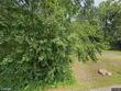 11995 town line rd, hibbing,  MN 55746