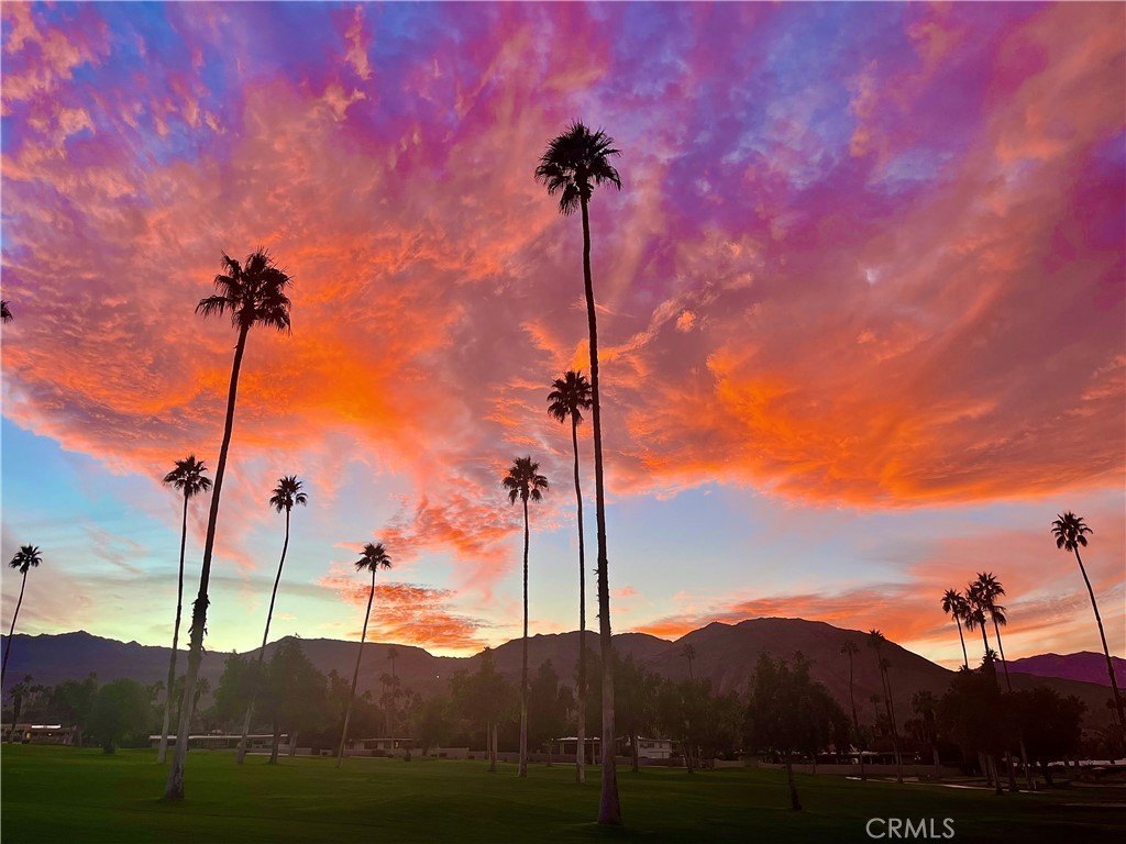  palm desert,  CA 92260