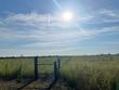  greenville,  TX 75401