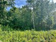  kimball,  MI 48074