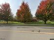  zeeland,  MI 49464