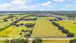  webster,  FL 33597