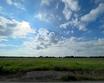10932 mlcak rd, sealy,  TX 77474
