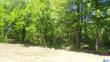 blountsville st, hanceville,  AL 35077