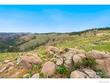 865 redstone dr, bellvue,  CO 80512