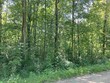  beaverton,  MI 48612