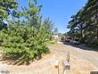 13601 s union hall rd, canby,  OR 97013