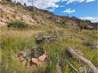 1737 eiger rd, livermore,  CO 80536