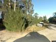  punta gorda,  FL 33955