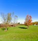  riley twp,  MI 48041