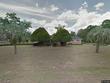  ocala,  FL 34471