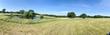  celeste,  TX 75423
