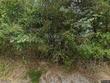 191 county road 1675, cullman,  AL 35058