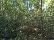6026 charles rd, saginaw,  MN 55779