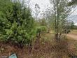 520 county road 1240, pittsburg,  TX 75686