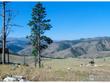 59 bobcat mountain ct, livermore,  CO 80536