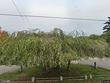 9888 se 172nd ave, happy valley,  OR 97086