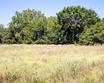 rs county road 3150, emory,  TX 75440