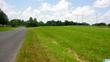 magnolia ave, hanceville,  AL 35077