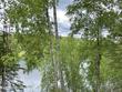  wasilla,  AK 99623