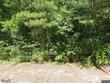 6711 county road 310, crane hill,  AL 35053