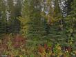  kenai,  AK 99611