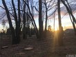  berry creek,  CA 95916