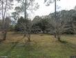  earleton,  FL 32631