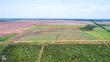 tbd county road 262, anson,  TX 79501