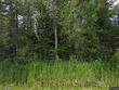  cook,  MN 55723