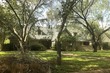  mission,  TX 78572