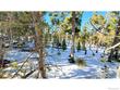 1482 shoshoni dr, red feather lakes,  CO 80545
